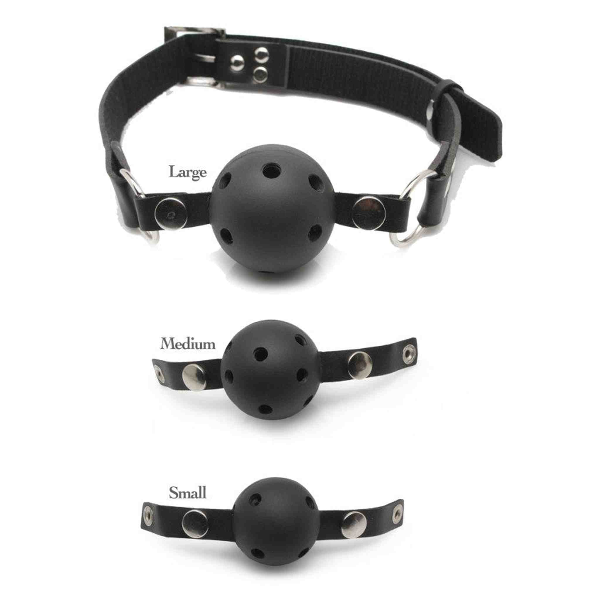 Ball Gag Training System