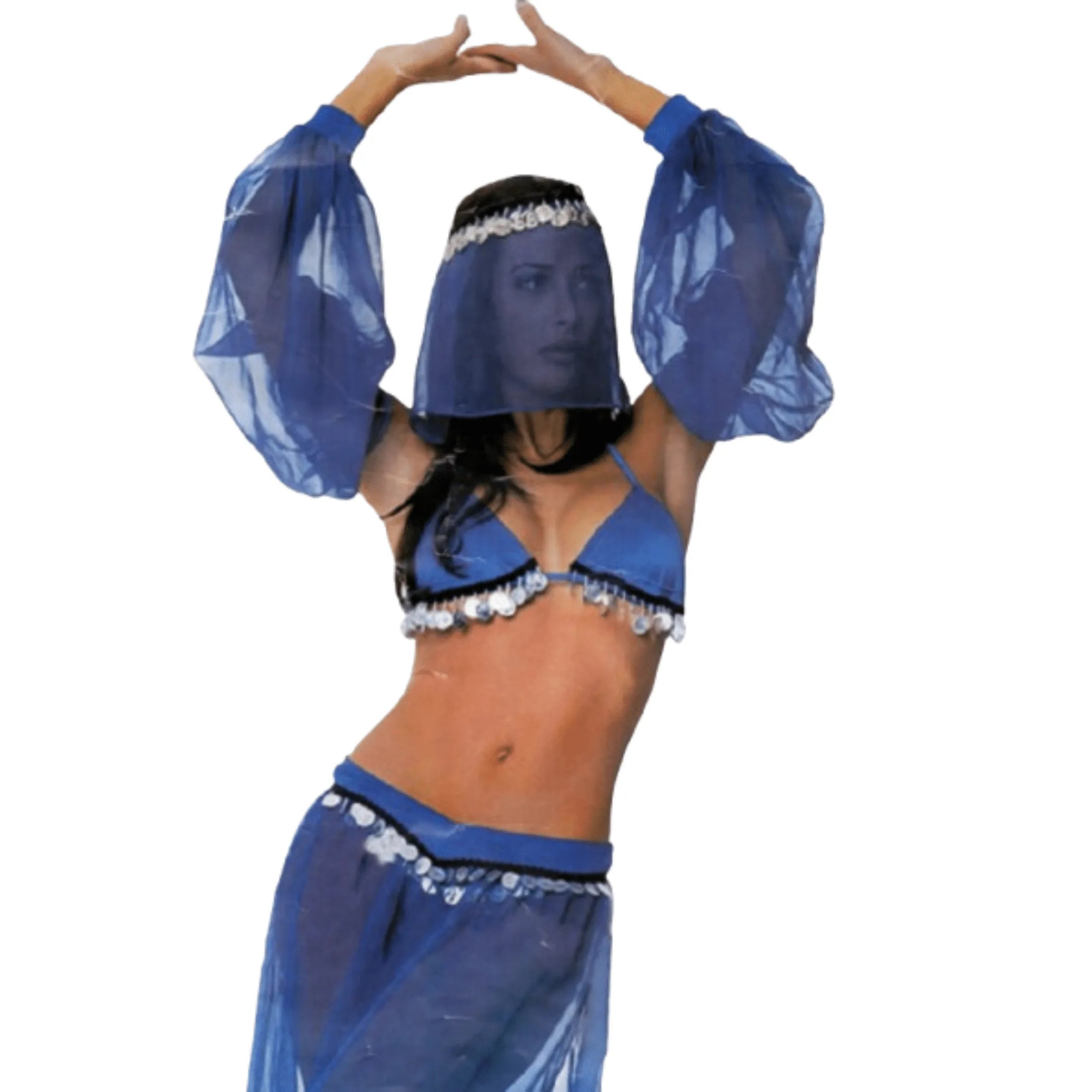 Costume Sexy da Odalisca