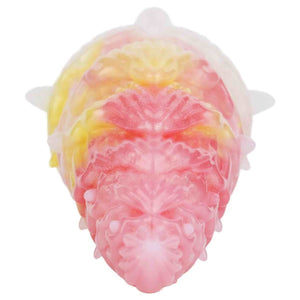 Dream conch masturbations for men