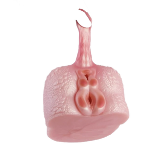 Fire Dragon big butt Masturbators