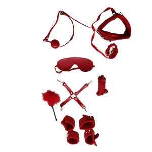 Kit Bondage 11 pezzi