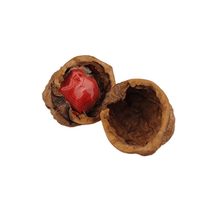 Perizoma nascosto nella noce