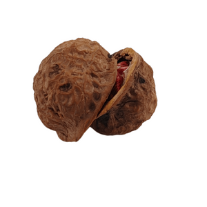 Perizoma nascosto nella noce