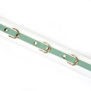 Liebe Seele Collar with Leash Set