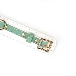 Liebe Seele Collar with Leash Set