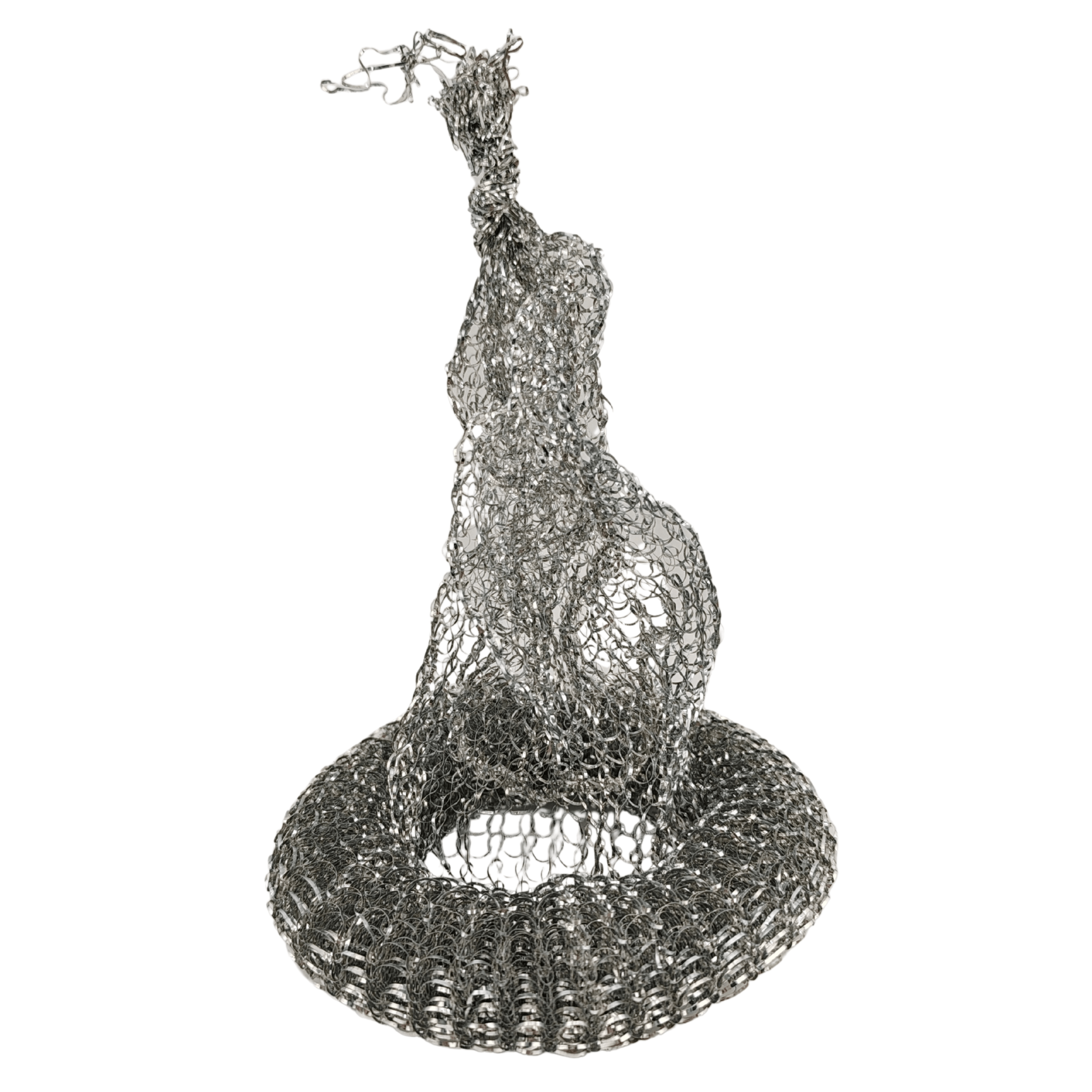 Spugna d'acciaio per pisello