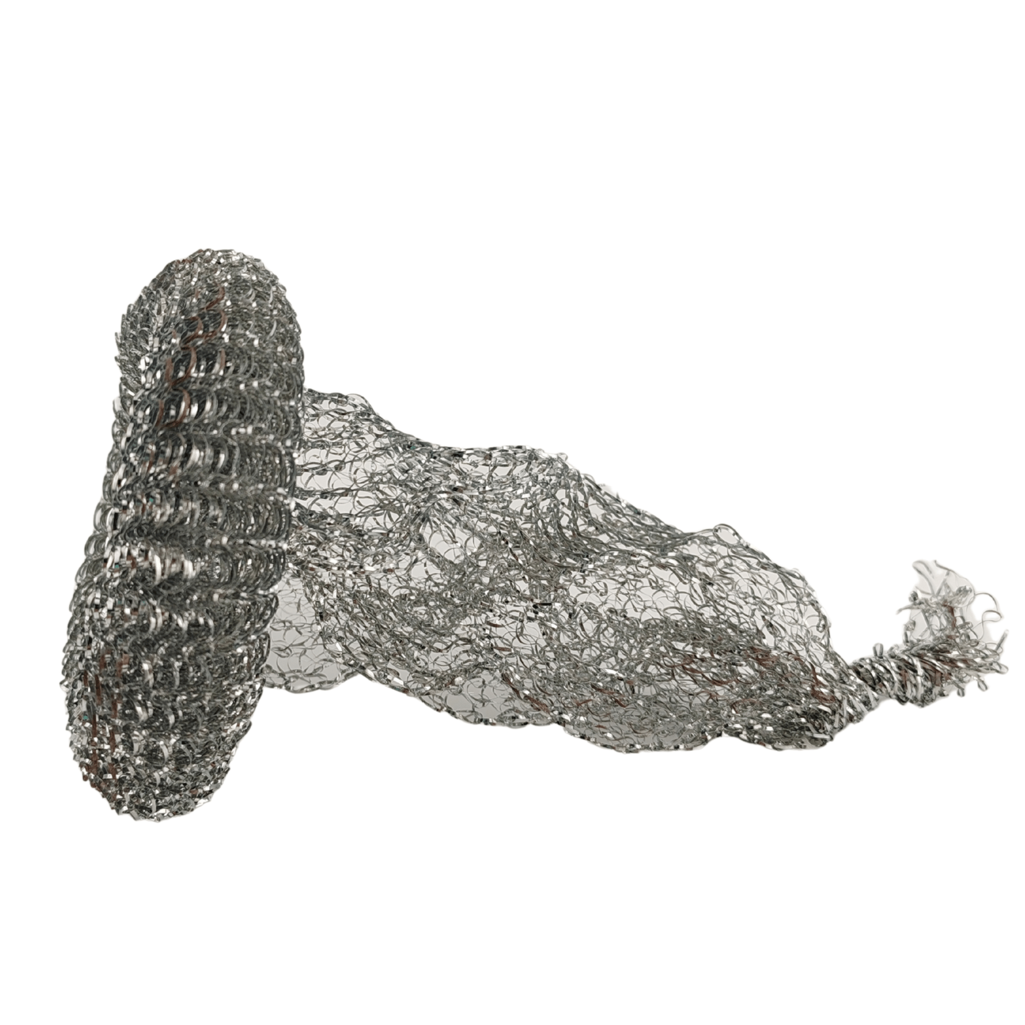 Spugna d'acciaio per pisello