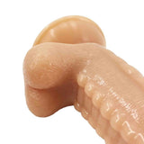 26.2cm Realistic Dildo