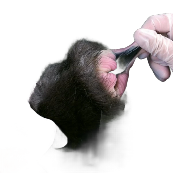 Artificial Animal Cat Pussy Design Silicone Masturbators Ass Doll For Men