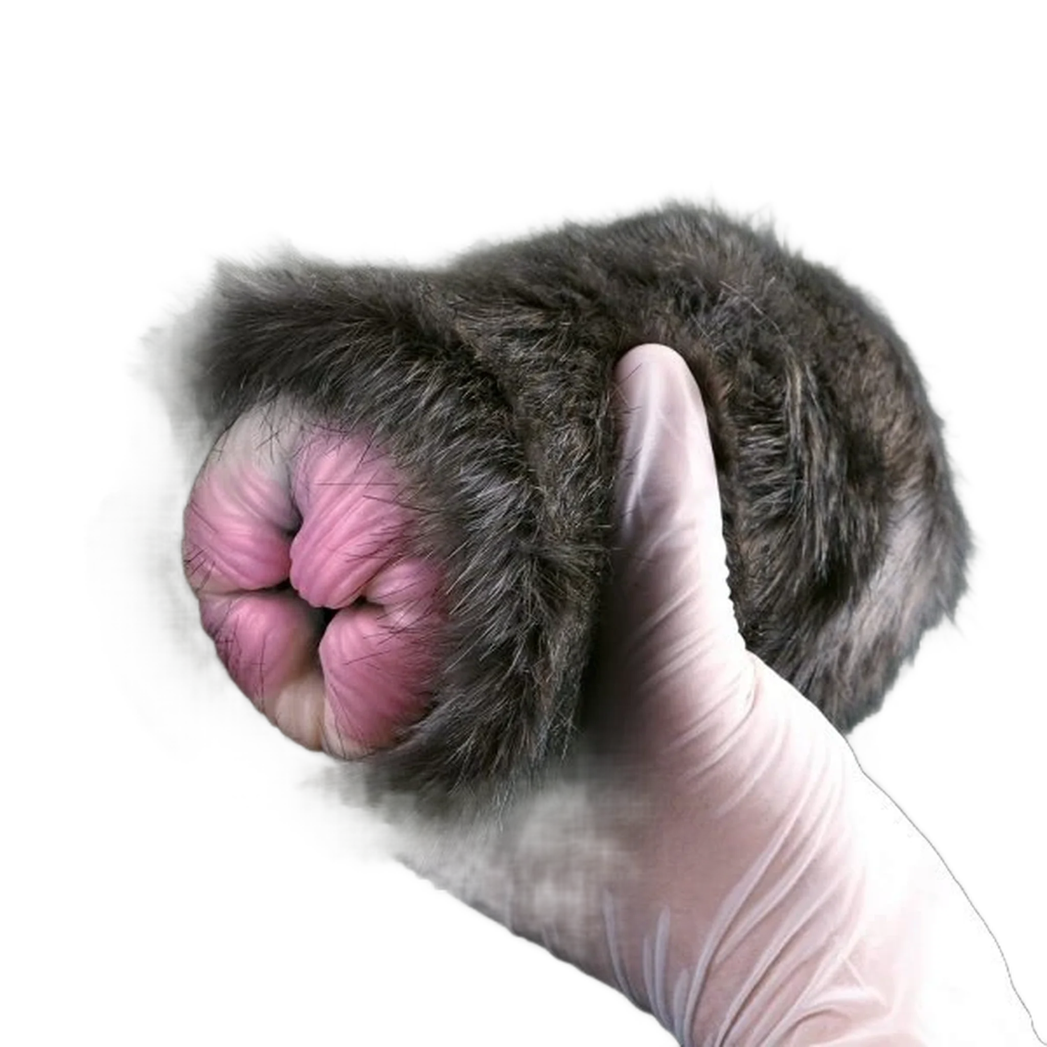 Artificial Animal Cat Pussy Design Silicone Masturbators Ass Doll For Men
