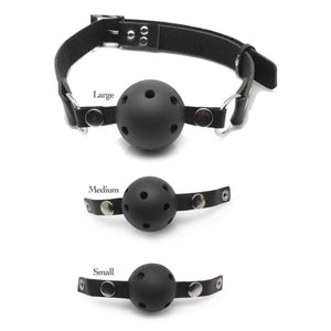 Ball Gag Training System