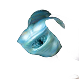 Beaver Dog Male Masturbator