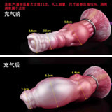 Bichon Frise Anal Plug