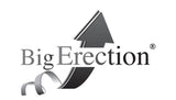 Logo Big Erection con freccia stilizzata e marchio registrato