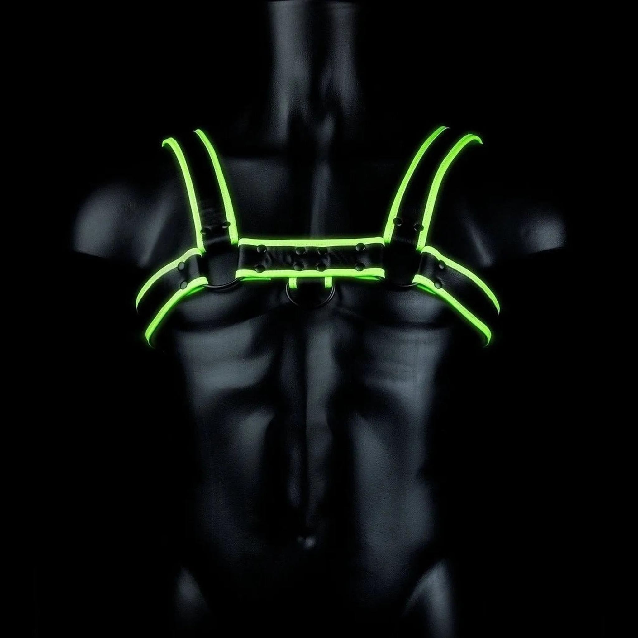 Bulldog Harness Fluorescente