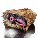 Camel Plush Masturbator, hand-made Fantasy Vaginal Doll For Men