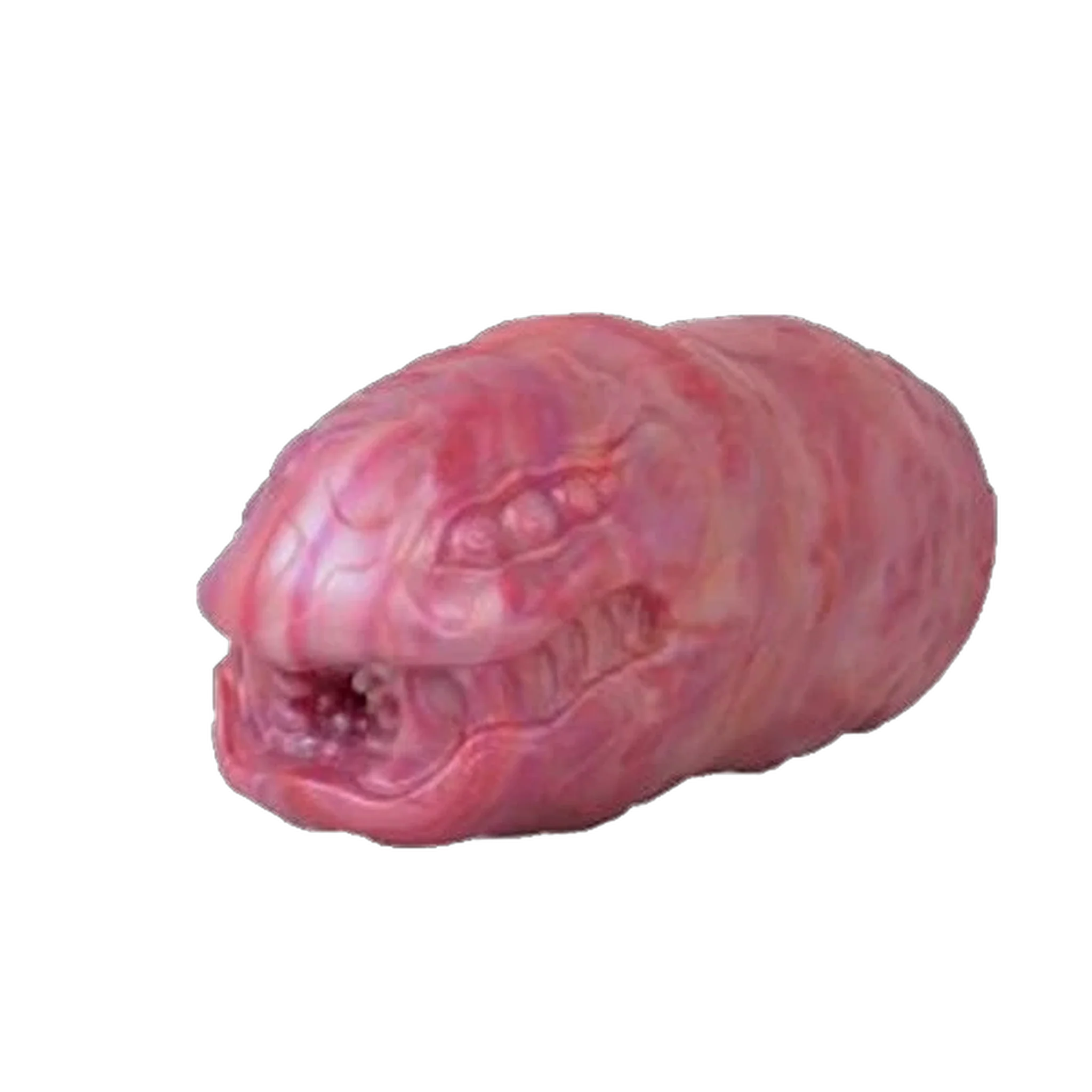 Centipede Male Masturbator
