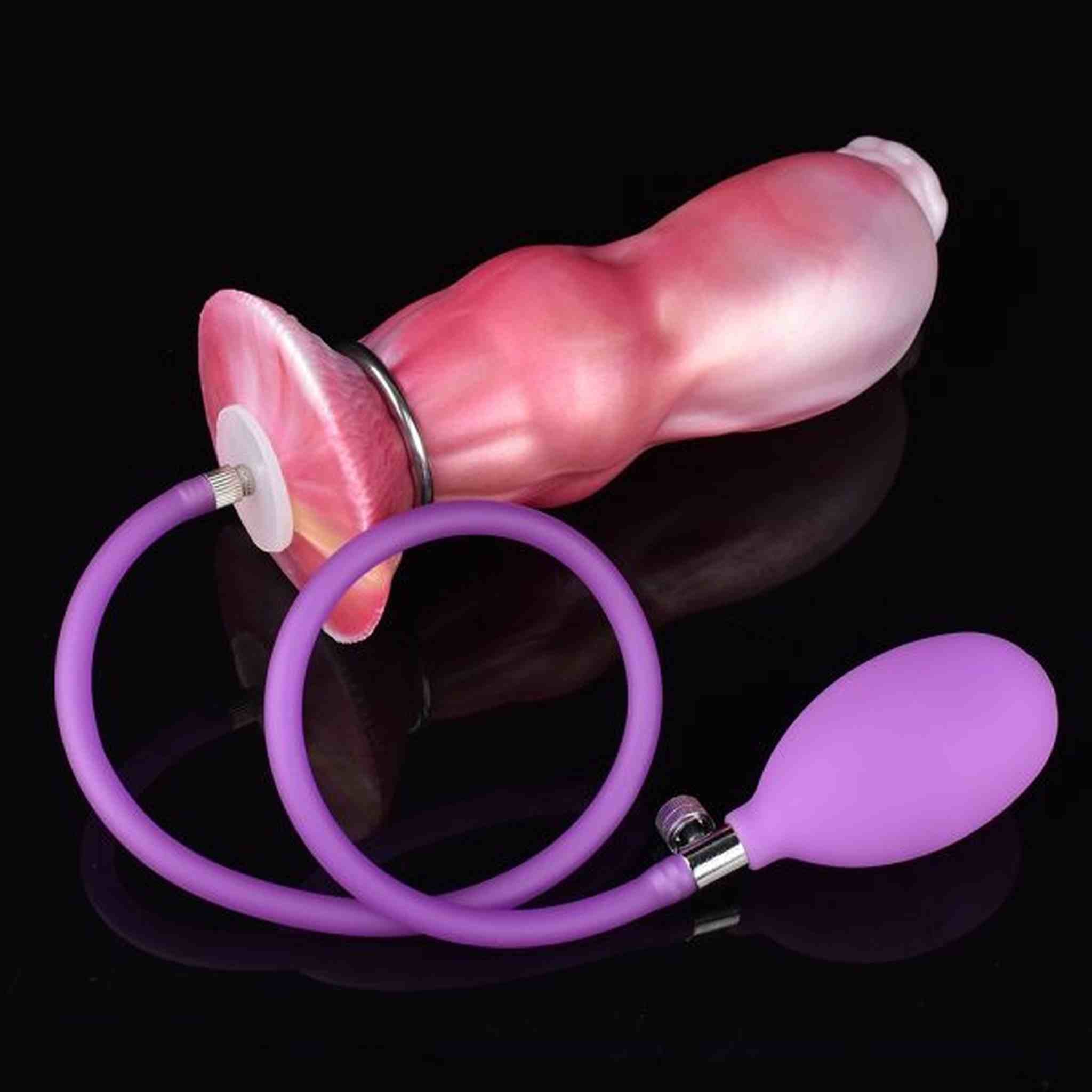 Chihuahua Anal Plug