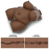 Chubby Torso Donna Realistico Formosa & Sensuale
