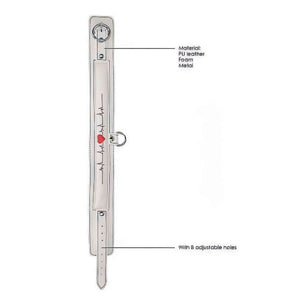 Collare e Guinzaglio Tema Infermiera