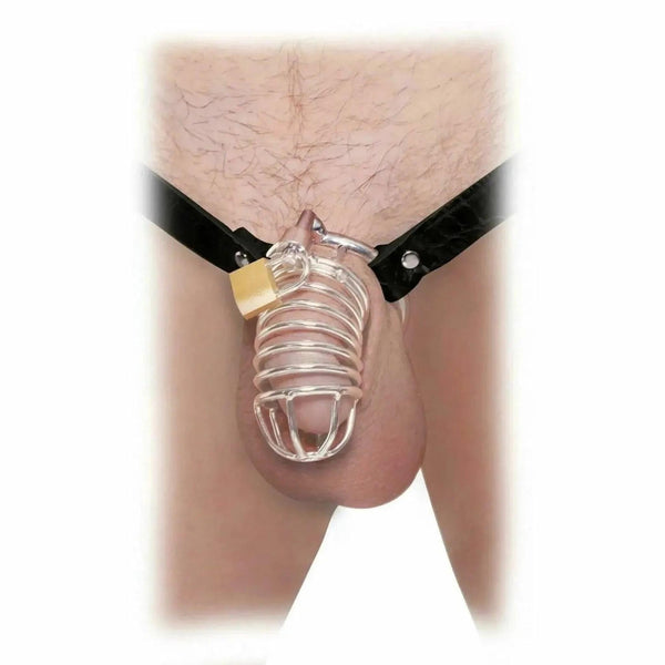 Vista frontale gabbia pene metallo a spirale con base a griglia e chiusura lucchetto