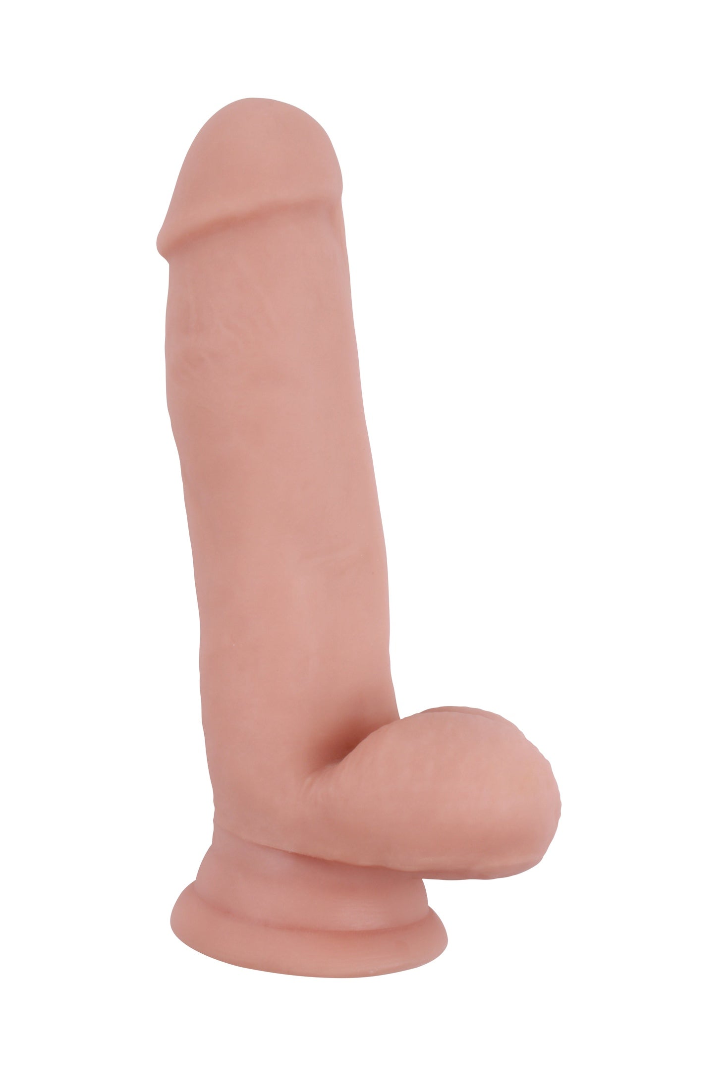 Super Moribdo Realistic Phallus 17.5 cm Ø 4 cm