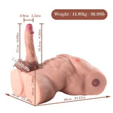Dimensioni e peso torso interattivo GoReal 46 cm altezza con base piatta