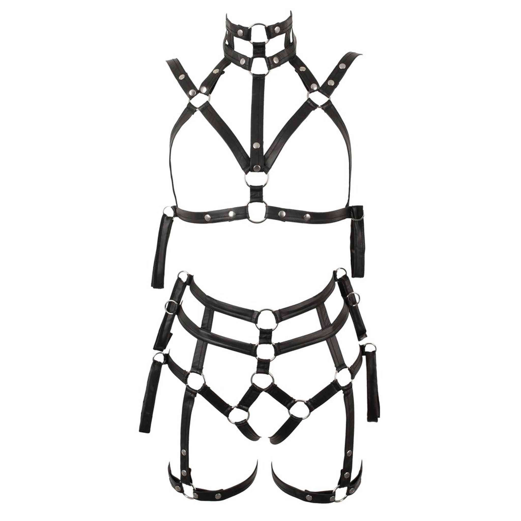 Harness