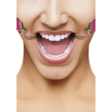 Hook Gag rosa con uncino metallico e cinghie in pelle indossato