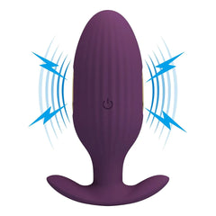 Jefferson Plug Anale a controllo remoto con Vibrazione ed Elettroshock