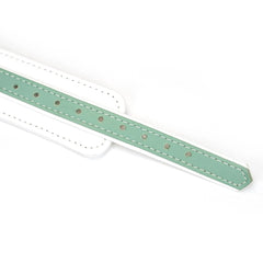 Liebe Seele Collar with Leash Set