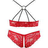 Lingerie Sexy Set Color Vinaccia