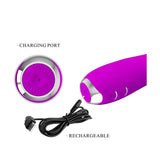 Vibratore rosa Pretty Love Molly in carica con cavo USB e porto metallico circolare