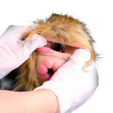 Monkey Shape Fantasy Animal Masturbator, Silicone Vaginal Doll With Furry
