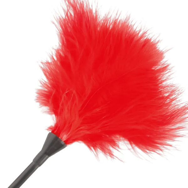 Dettaglio piume rosse soffici testa piumino da solletico