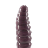 Realistic Worn Shape Penis with Anal Plug