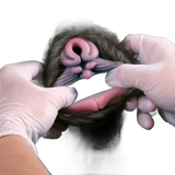 Rhinoceros Pussy Sex Toy Male Masturbator With Double Channel
