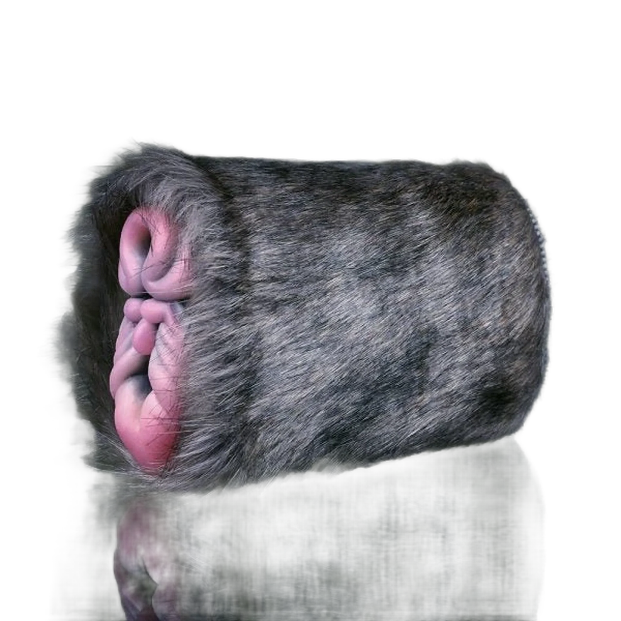 Rhinoceros Pussy Sex Toy Male Masturbator With Double Channel