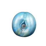 Rolling Wolf masturbatore maschile iridescente blu-verde vista frontale