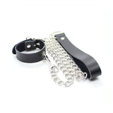Set collare e guinzaglio