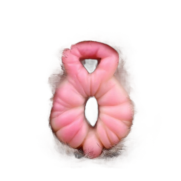 Spirit Lion Animal Pussy Toy Male Masturbator With Dual Channel