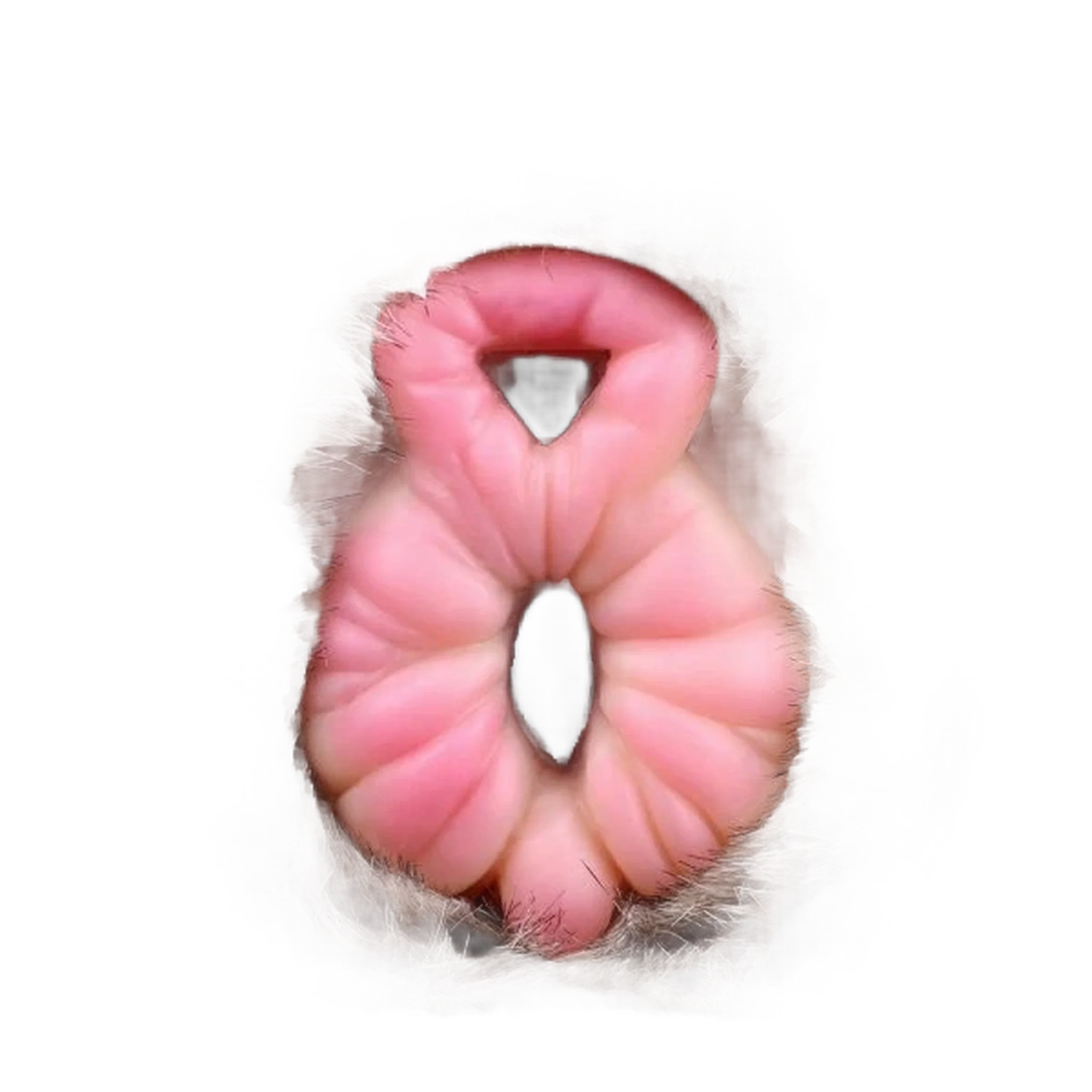 Spirit Lion Animal Pussy Toy Male Masturbator With Dual Channel