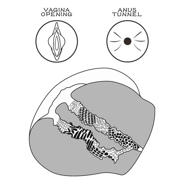 Sezione trasversale tecnica masturbatore apertura vagina e tunnel anale texture interna