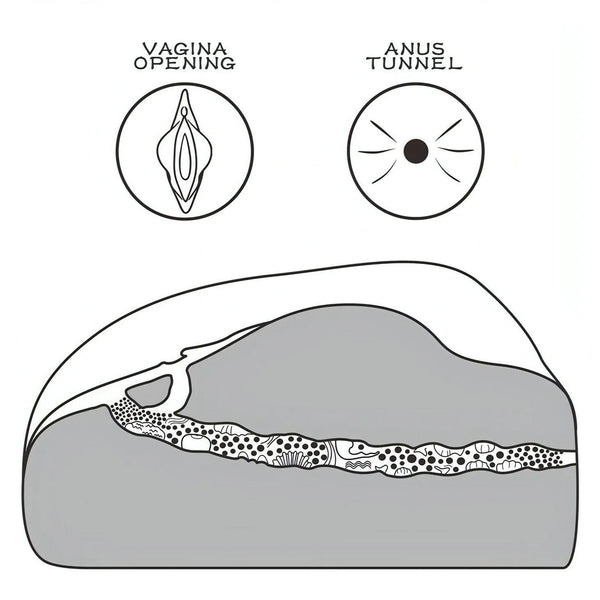 Diagramma sezione trasversale masturbatore TPE canali vagina e ano etichettati