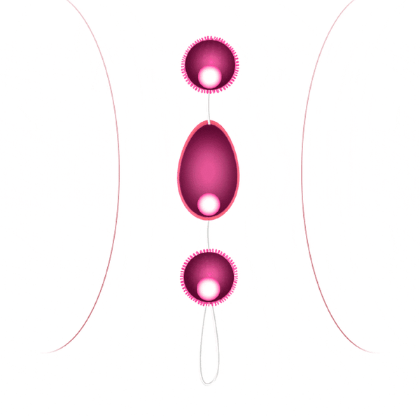 Grafica stilizzata palline Kegel rosa con dettagli interni e contesto anatomico