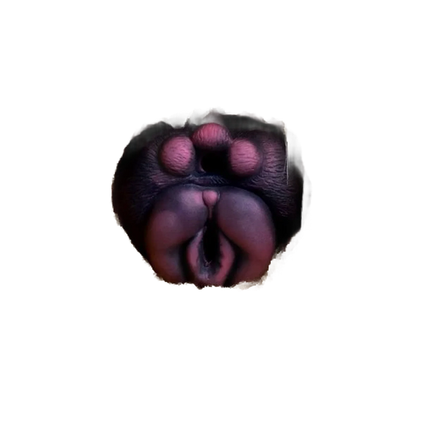 Velvet cat Silicone Vaginal Pussy Toy Furry Masturbator For Men