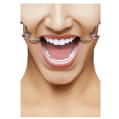 Hook Gag with leather straps - Purple