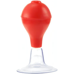 Masseuse nipple pump